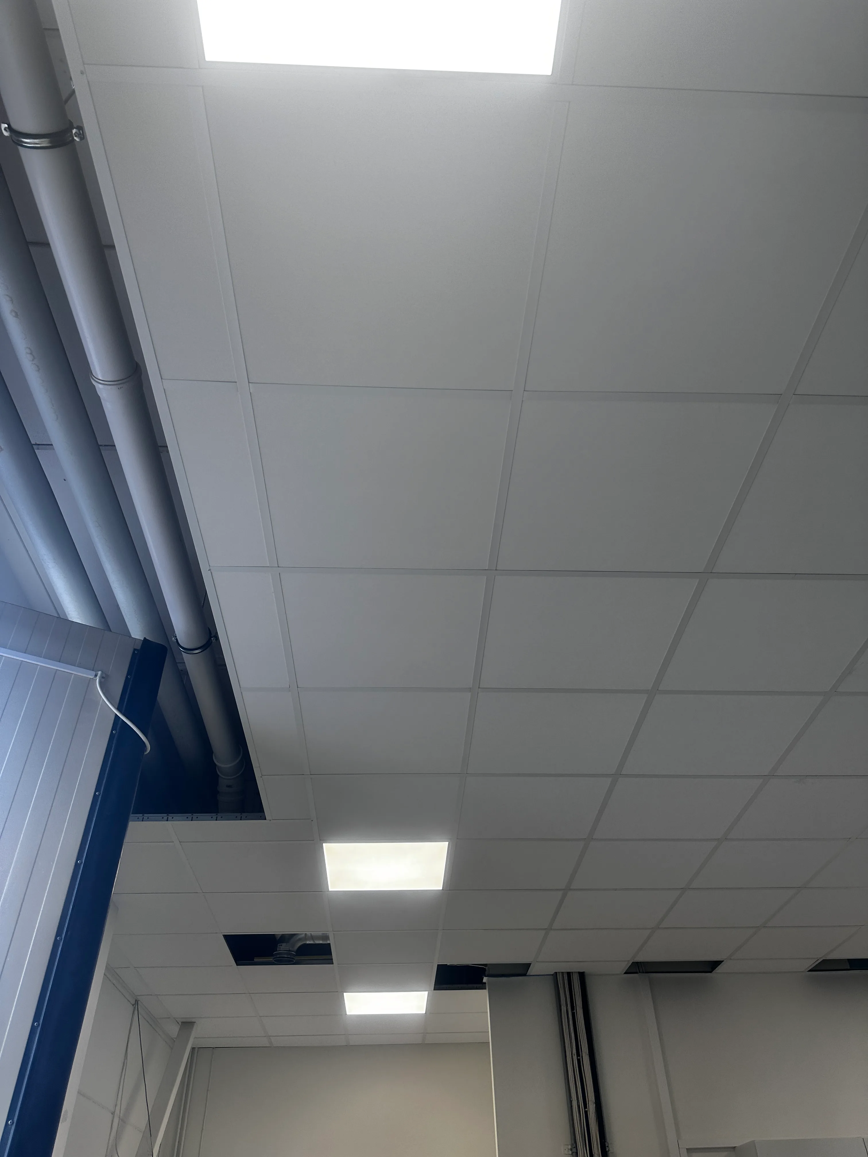 Tak Hall med fokus på takplattor och belysning, perfekt för renovering av kommersiella utrymmen